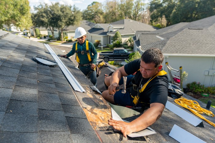 Roof Repair example 2